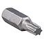 Punta torx T 30