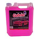 Shampoo de auto 5L GABRIEL