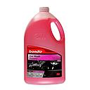 Shampoo de auto D CARS 5LTS