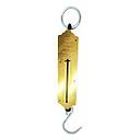 [BARO9669] Bascula romana dorado 12kg