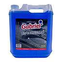 [LIPA3914] limpia parabrisas 5L GABRIEL